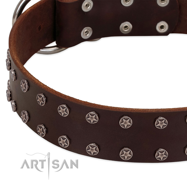 Gentle to touch leather dog collar with decorations for your canine