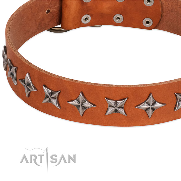 Daily walking decorated dog collar of finest quality genuine leather