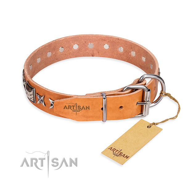 Top quality studded dog collar of full grain leather