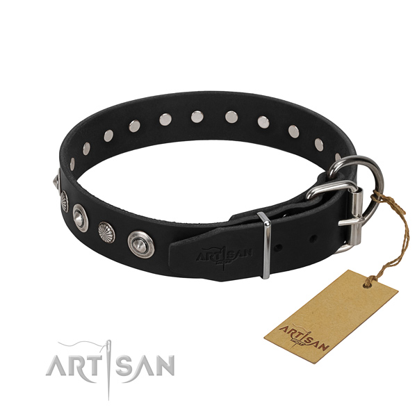 Durable natural leather dog collar with exceptional embellishments