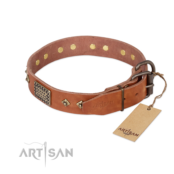 Genuine leather dog collar with strong buckle and embellishments