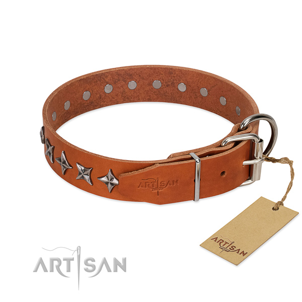 Walking embellished dog collar of reliable genuine leather