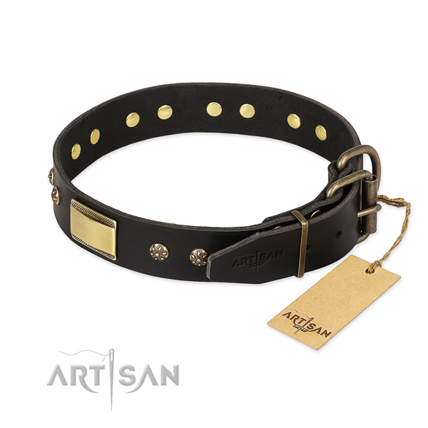 Leather dog collar with rust resistant D-ring and adornments