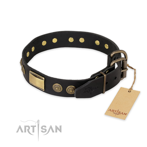 Rust-proof fittings on leather collar for everyday walking your pet