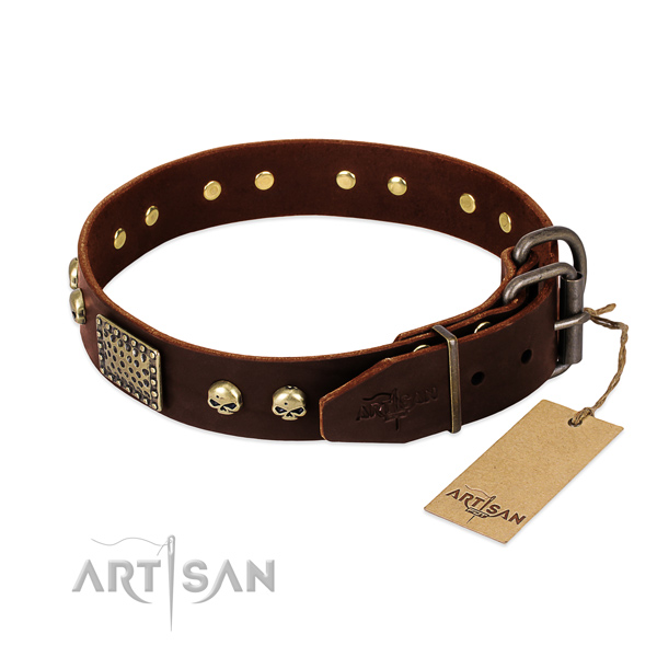 Rust resistant buckle on daily use dog collar