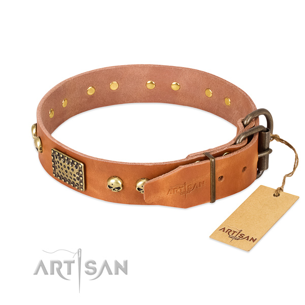 Reliable adornments on easy wearing dog collar