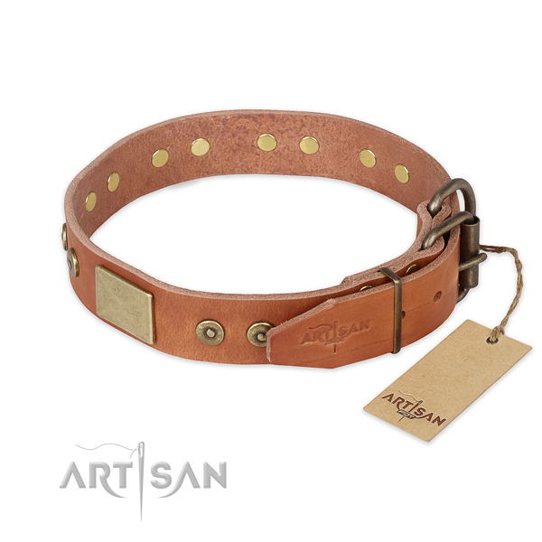 Reliable D-ring on full grain leather collar for stylish walking your doggie