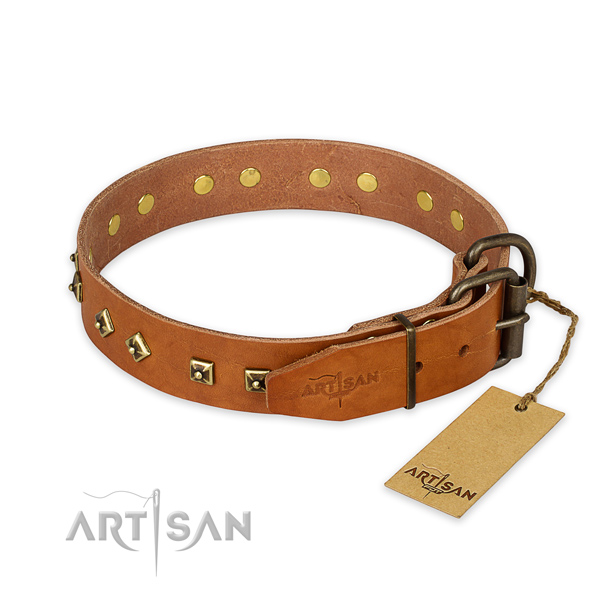 Rust-proof buckle on natural leather collar for daily walking your four-legged friend