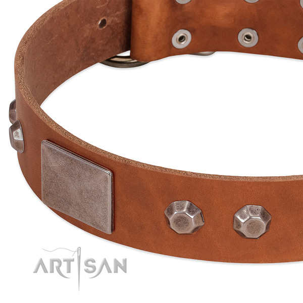 Everyday use soft leather dog collar