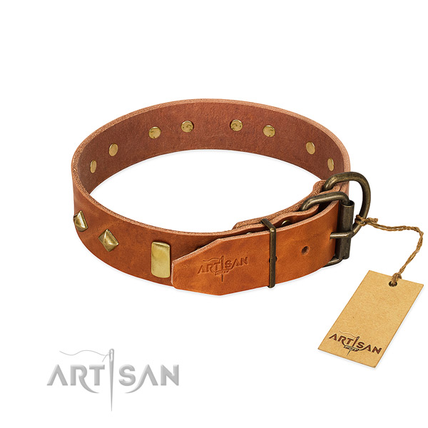 Everyday use genuine leather dog collar with unique studs