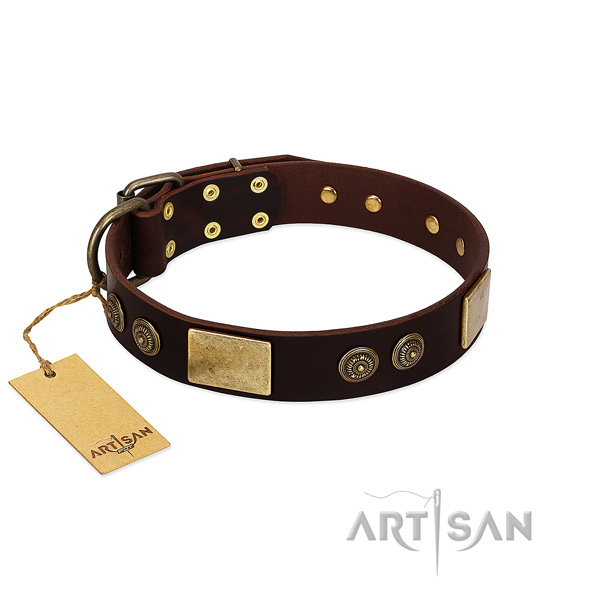 Reliable decorations on full grain natural leather dog collar for your four-legged friend
