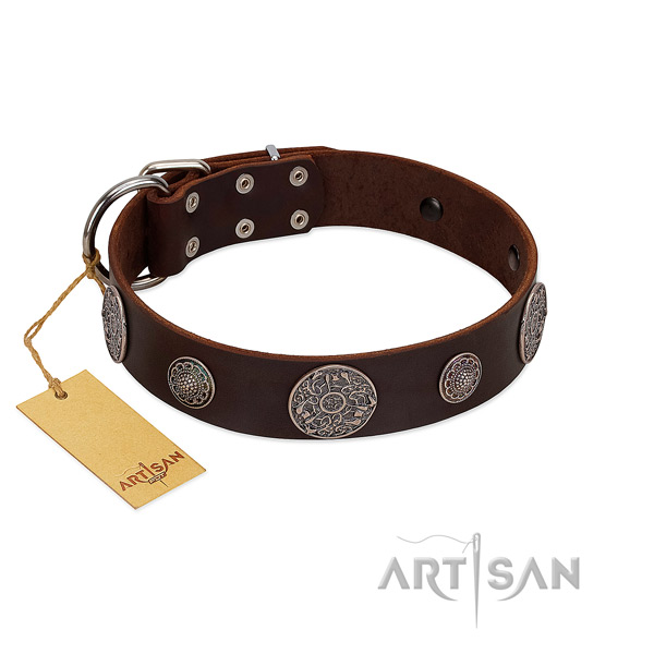 Adorned genuine leather collar for your handsome pet