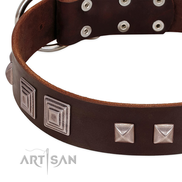 Strong hardware on full grain natural leather dog collar for stylish walking