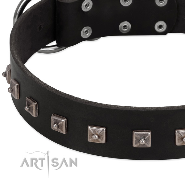 Soft full grain leather collar with embellishments for your four-legged friend