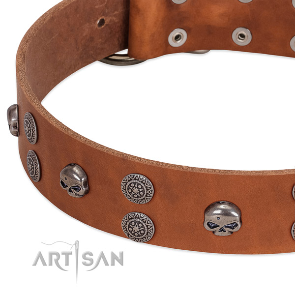 Top rate full grain natural leather dog collar with stylish design studs