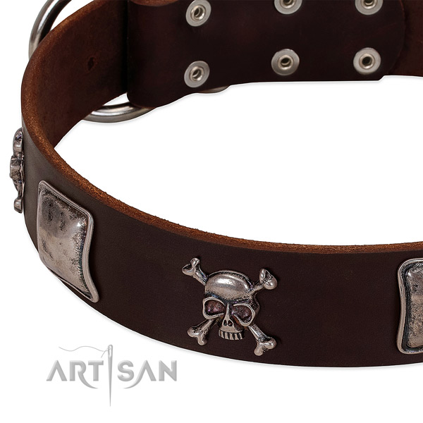 Rust resistant fittings on full grain leather dog collar