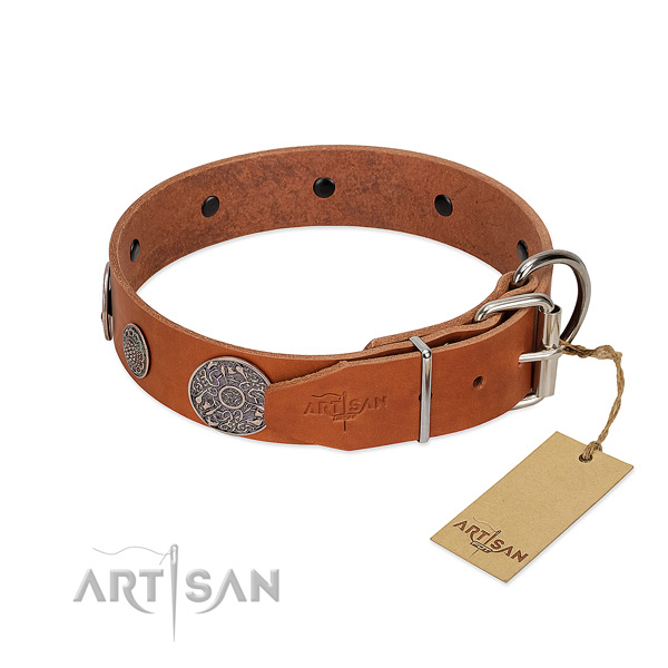 Unique natural genuine leather collar for your stylish canine