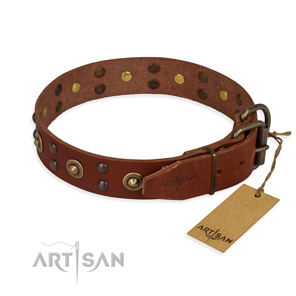 Reliable D-ring on genuine leather collar for your beautiful doggie