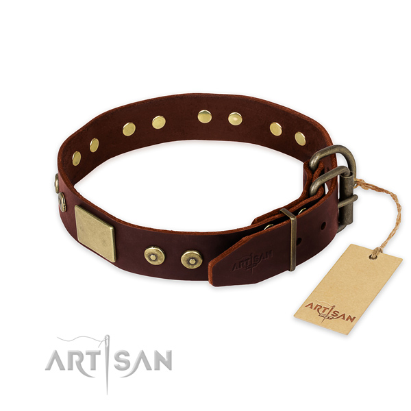 Rust-proof buckle on comfy wearing dog collar
