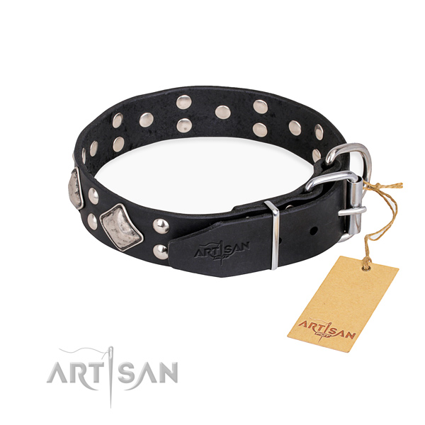 Leather dog collar with stylish strong embellishments