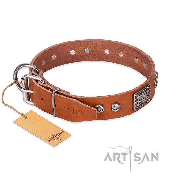 Rust-proof buckle on easy wearing dog collar