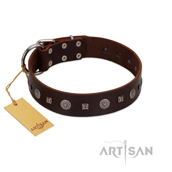 Comfy wearing top rate full grain natural leather dog collar with studs