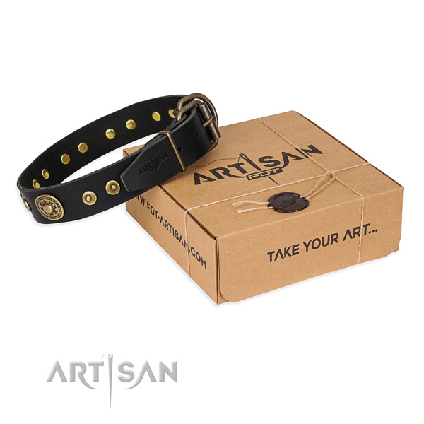 Full grain natural leather dog collar made of flexible material with corrosion proof traditional buckle