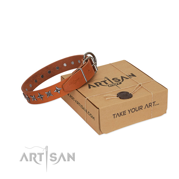 Basic training dog collar of top quality full grain genuine leather with decorations