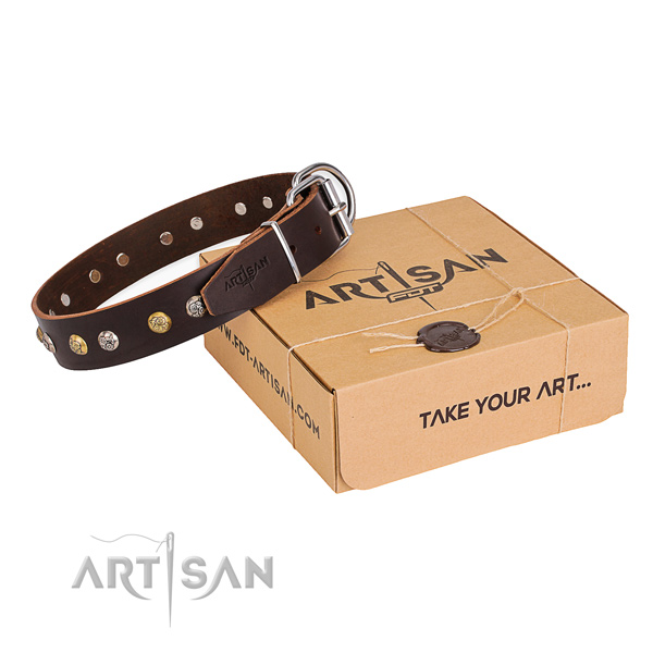 Top notch full grain leather dog collar handcrafted for fancy walking