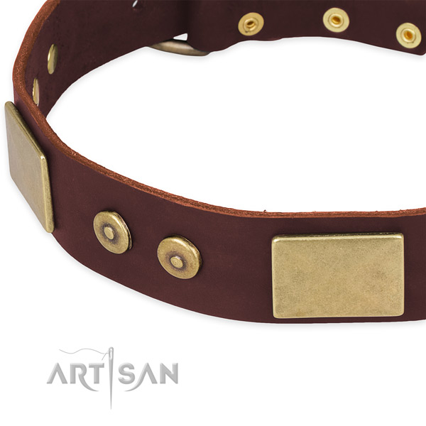 Genuine leather dog collar with studs for daily use