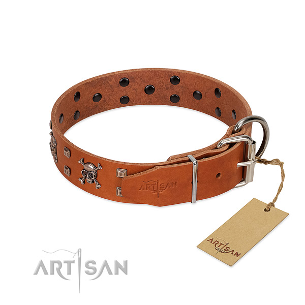 Walking quality genuine leather dog collar with adornments