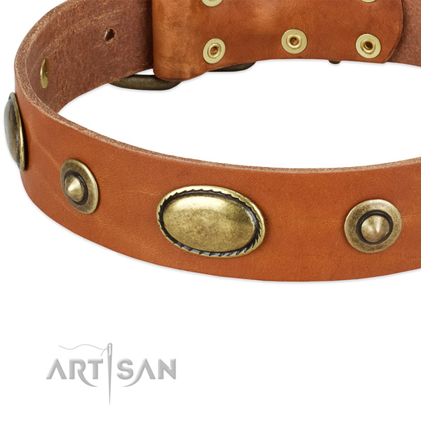 Corrosion resistant fittings on full grain leather dog collar for your doggie