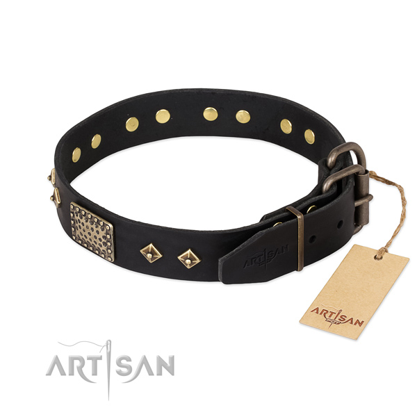 Leather dog collar with durable traditional buckle and embellishments