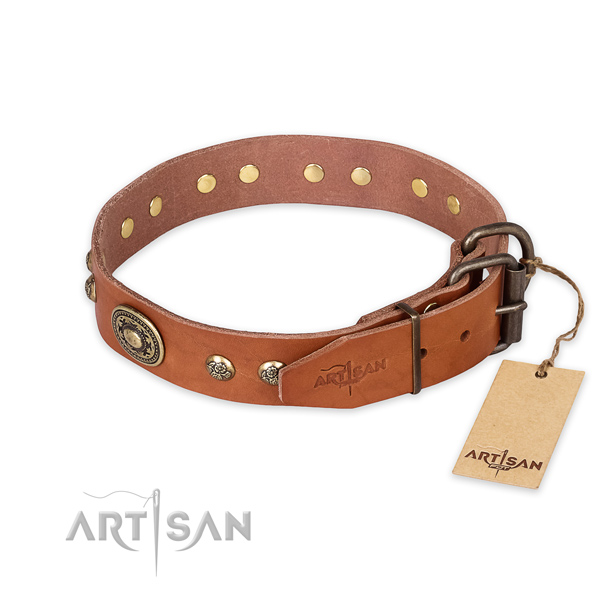 Durable buckle on natural leather collar for walking your four-legged friend