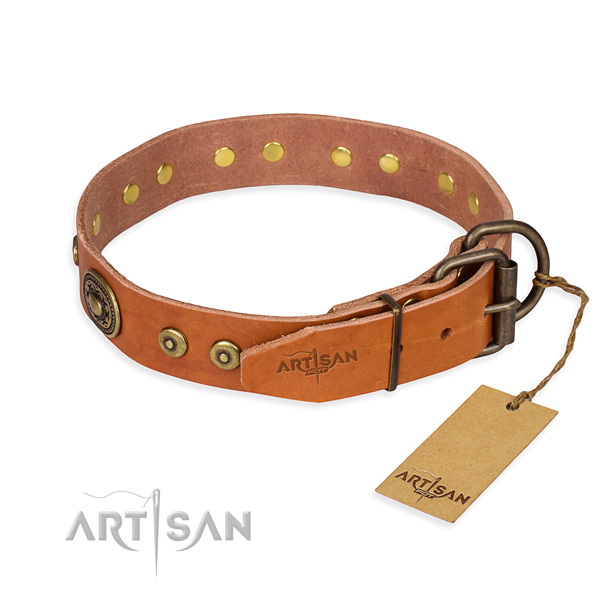 Natural genuine leather dog collar made of quality material with rust resistant embellishments