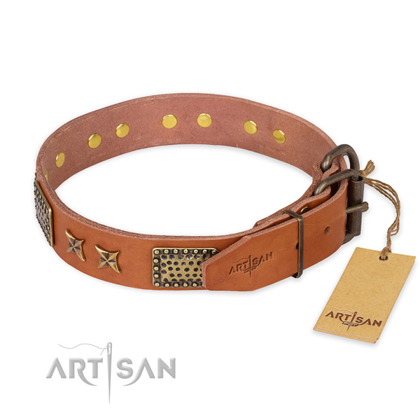 Corrosion proof hardware on full grain leather collar for your attractive four-legged friend