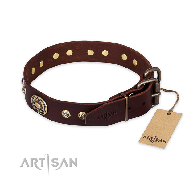 Rust-proof buckle on full grain natural leather collar for stylish walking your dog