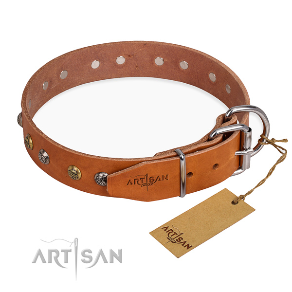 Full grain leather dog collar with stunning rust resistant adornments