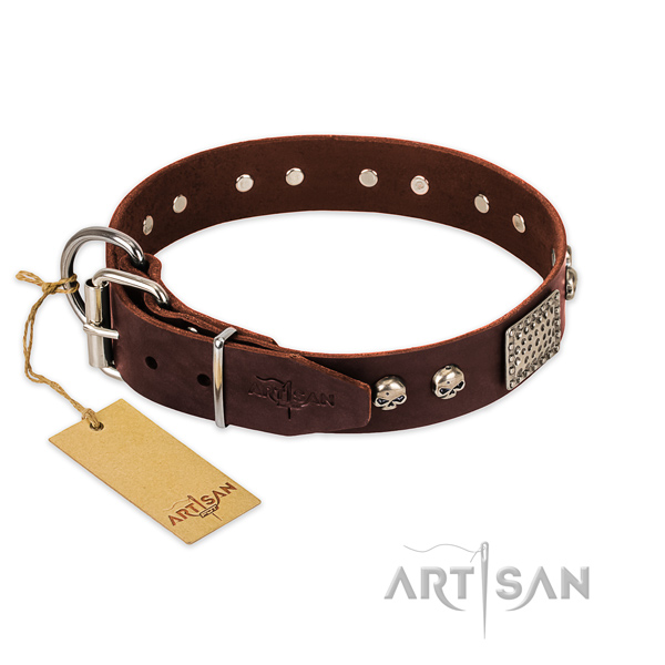 Rust-proof adornments on comfy wearing dog collar
