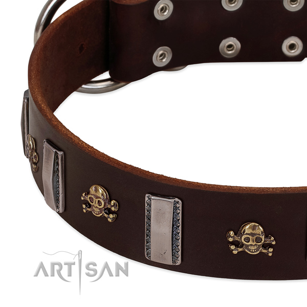 Handcrafted dog collar of full grain natural leather with studs