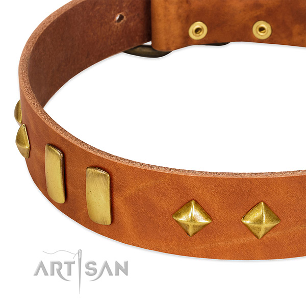 Everyday walking natural leather dog collar with incredible adornments