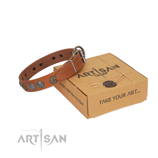 Full grain leather collar with unusual adornments for your four-legged friend