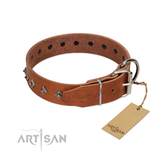 Natural leather dog collar with inimitable embellishments for your dog
