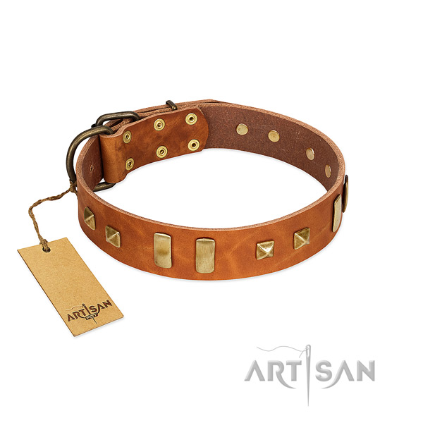 Leather dog collar with reliable D-ring