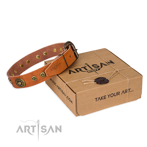 Full grain natural leather dog collar made of top rate material with rust-proof traditional buckle