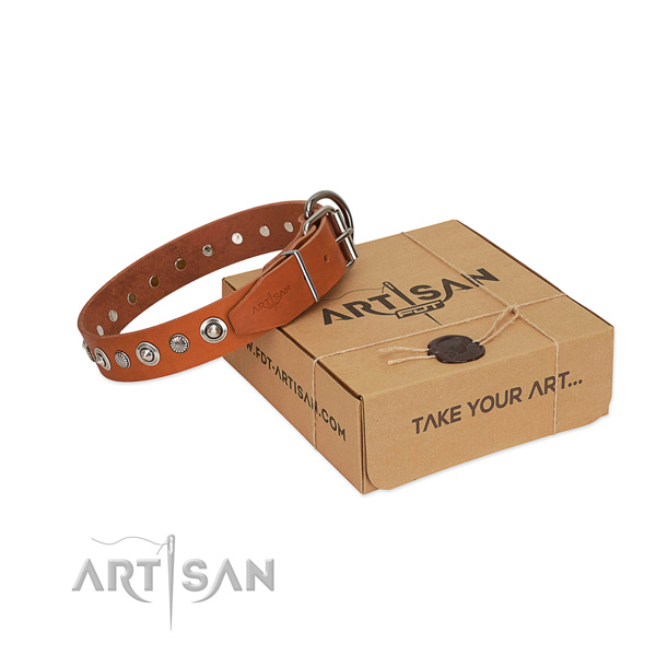 Finest quality full grain natural leather dog collar with significant decorations