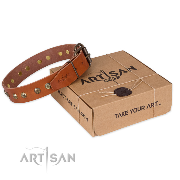 Rust resistant traditional buckle on full grain leather collar for your handsome canine