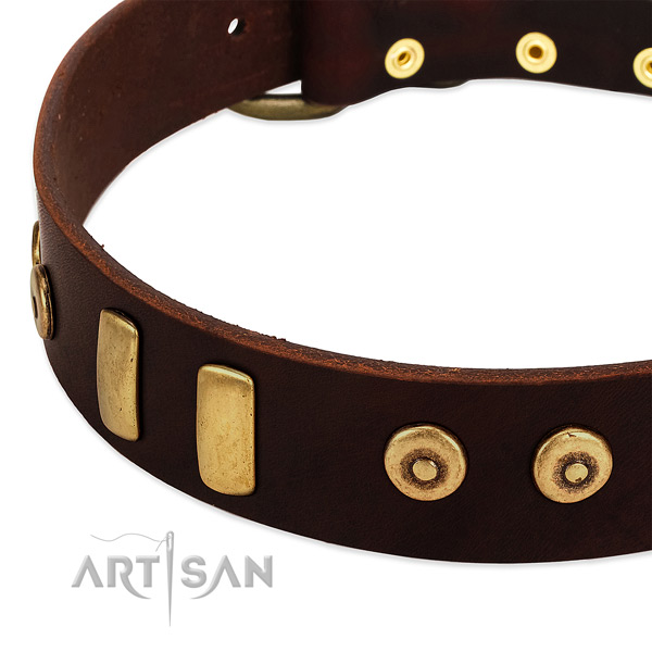Gentle to touch full grain natural leather collar with impressive adornments for your dog