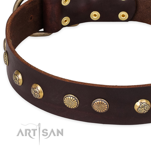 Natural genuine leather collar with strong fittings for your beautiful pet