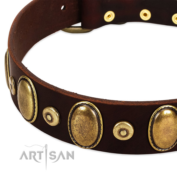 Fashionable full grain genuine leather collar for your attractive doggie